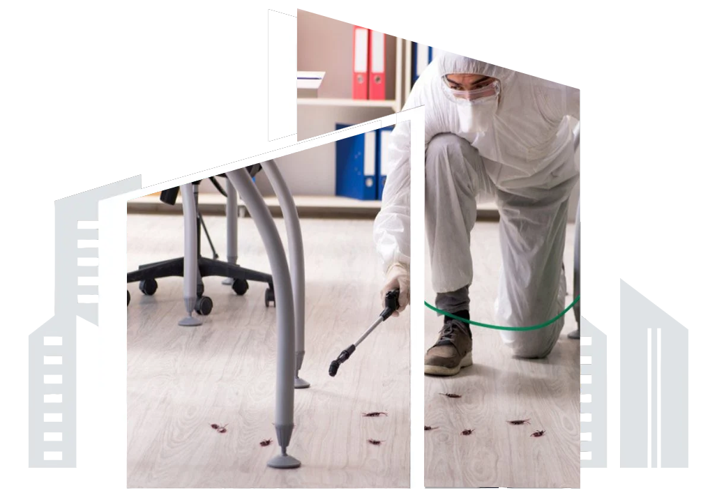 Commercial Pest Control Services